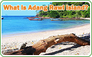 What is Adang Rawi Island