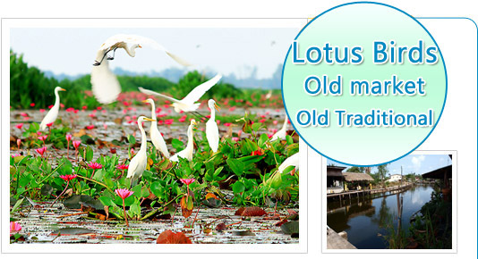 Lotus Birds Old Market Old Traditional
