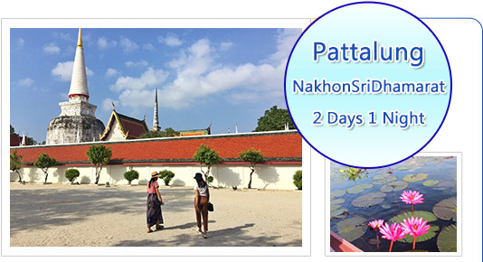 2 Days 1 Niths Pattalung and Nakonsridhammarat